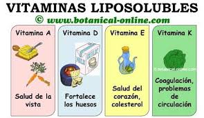 Resultado de imagen para las vitaminas