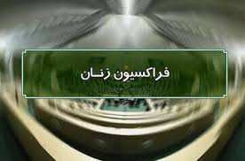 فراکسیون زنان برای ورود به هیأت رئیسه مجلس خیز برداشت