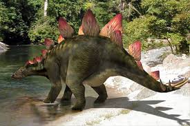 Afbeeldingsresultaat voor stegosaurus