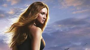 Trend Google: shailene woodley