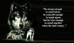 Lone Wolf Quotes on Pinterest | Wolf Quotes, Loner Quotes and Wolf ... via Relatably.com