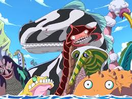 Image result for one piece