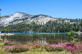 News source: Travel + Leisure