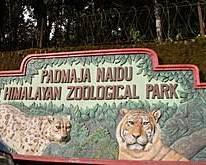 Image of Padmaja Naidu Himalayan Zoological Park, Darjeeling