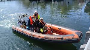 neuer rettungsversuch für wal timmy