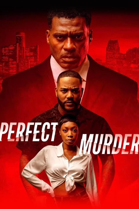 The Perfect Murder