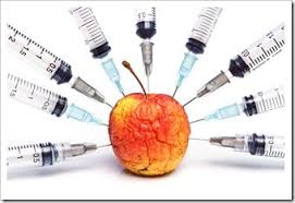 Image result for lifetime studies gmo