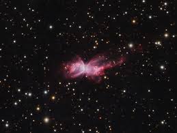 Image result for ngc 1566