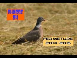 Afbeeldingsresultaat voor fin de la saison de chasse 2015