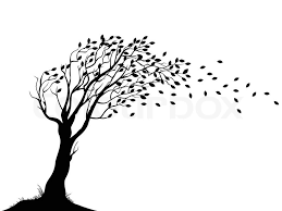 Image result for tree silhouette