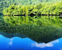 夏の湖の画像