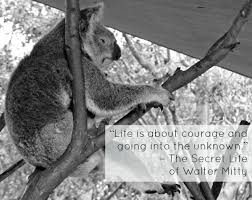 The Best Movie Travel Quotes on Photos of Sleepy Koalas - Gap Year via Relatably.com