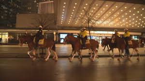 Debate Israel-Palestina: Protestos e Acusações Agitam Toronto! 🚨