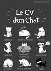 Psychologie du chat - Psychologie fline m