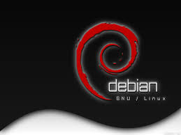 Hasil gambar untuk Linux debian