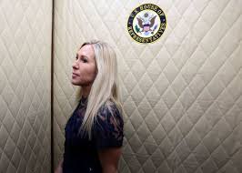 AI Concerns, Georgia Election, and SAVE America Act Developments