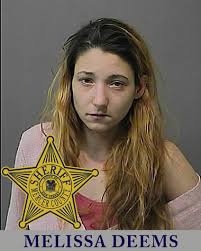 Melissa Deems, 33, of Levittown, Pa., was arrested after her car&#39;s tires shredded leaving the car disabled on the shoulder of Bridge Street in Morrisville, ... - 9587765-large