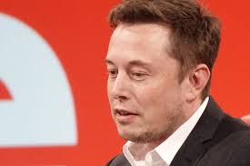 elon musk net worth Picture