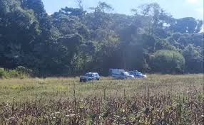 Veículos estacionados em um campo com vegetação seca e uma floresta ao fundo, sob luz solar intensa.