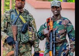 ChimpReports - News update