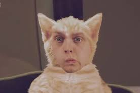 Flux Pavilion and Dillon Francis Add An Excellent New Addition to the Cat Music Video Canon - StR2DoAauuQl