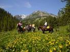 The Red Rock Ranch: Jackson Hole Dude Ranch Vacations