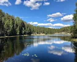 Imagen del Parque Nacional Nuuksio, Finlandia