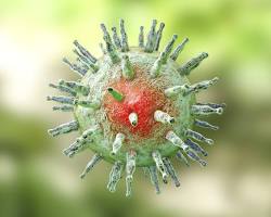 Image of EpsteinBarr virus