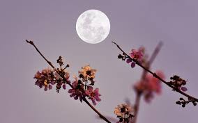 The 4 Luckiest Signs During May's Full Moon in Scorpio