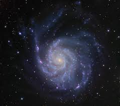 Image result for galaxy m101