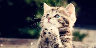 Спасатели извлекли еще одно тело из-под завалов рухнувшего в Киеве дома, - ГосЧС - Цензор.НЕТ 8288