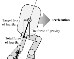 Placeholder for ZMP Concept Diagram