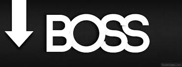 Boss_Arrows_41.jpg via Relatably.com