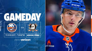 ducks vs islanders