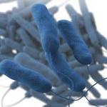  Bronx: Legionnaires' disease cases being investigated in Co-op City