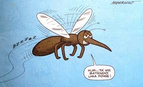 Resultado de imagem para o mosquito