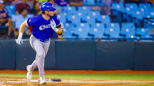 Liga Mexicana De Beisbol