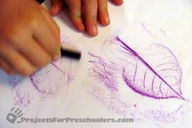 Image result for ‫کار با برگ‬‎