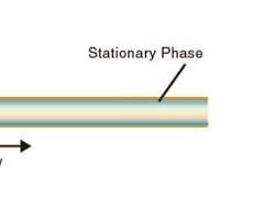 Fused silica HPLC guard column