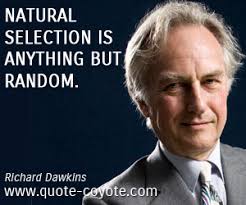 Richard Dawkins quotes - Quote Coyote via Relatably.com