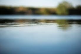 Teen Dies From Brain-Eating Amoeba in Central North Carolina