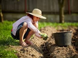 посівний календар на квітень 2026 року