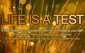 Islam Quotes About Life Love Women Forgiveness Patience life and ... via Relatably.com