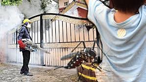 Image result for how malaysia fights against dengue fever