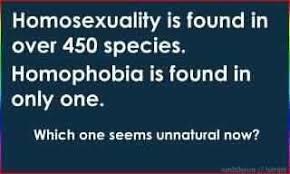 Inclusive Practices - Homophobia | Cosmology, Ontology, and ... via Relatably.com