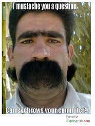 Résultat de recherche d'images pour "mexican eyebrows"