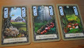 Image result for opus dei card game