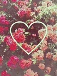 R&eacute;sultat de recherche d'images pour 