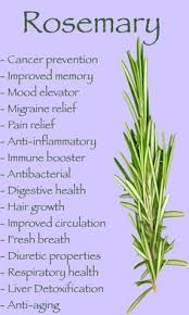 Image result for health benefits of longevity spinach