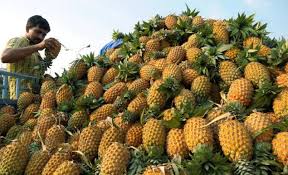 Image result for kerala images